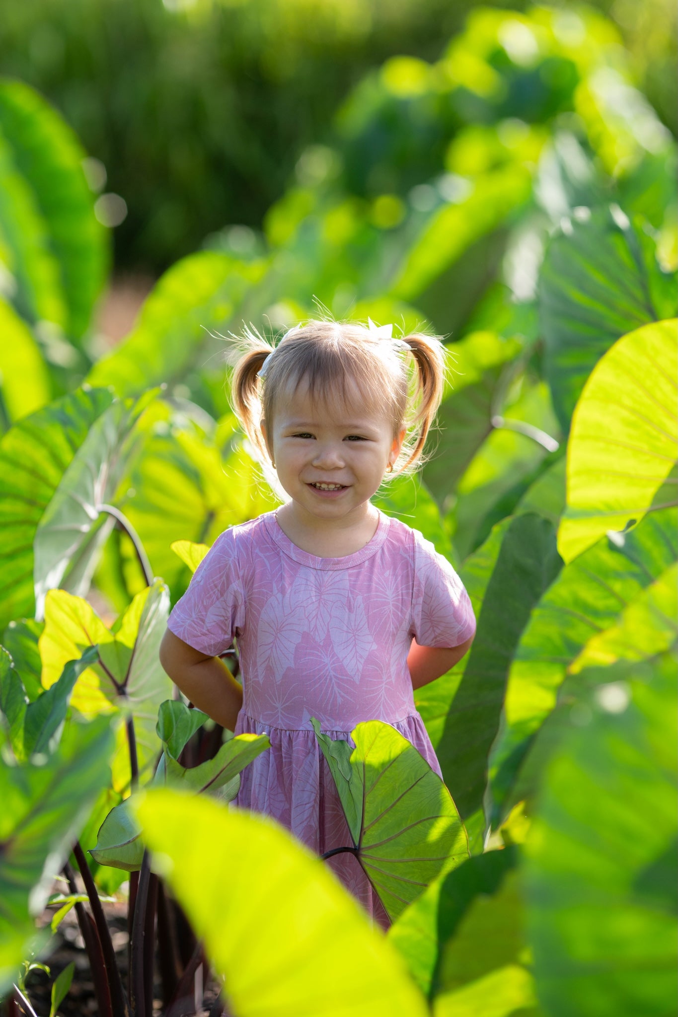 Pink Loʻi Kalo Bamboo Kaliko Dress