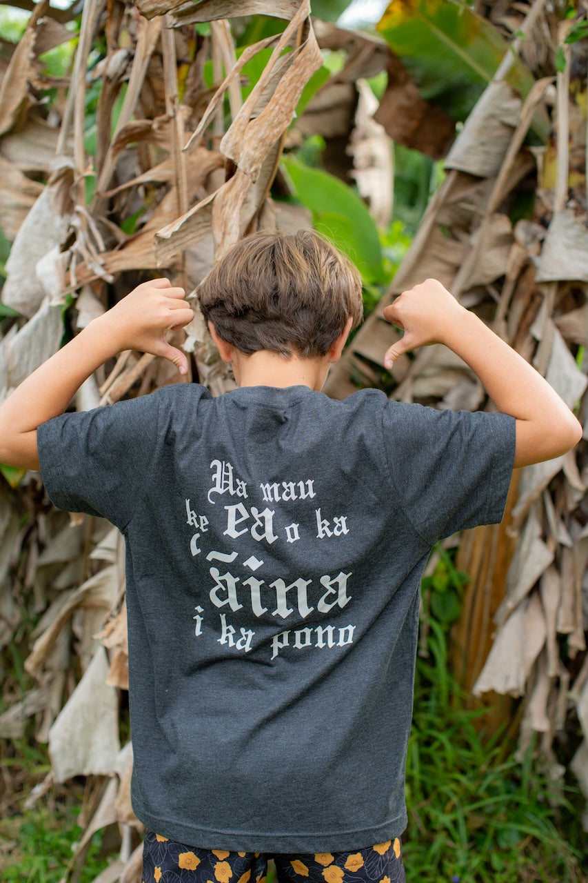 Ke Aloha ʻĀina Keiki T-Shirts