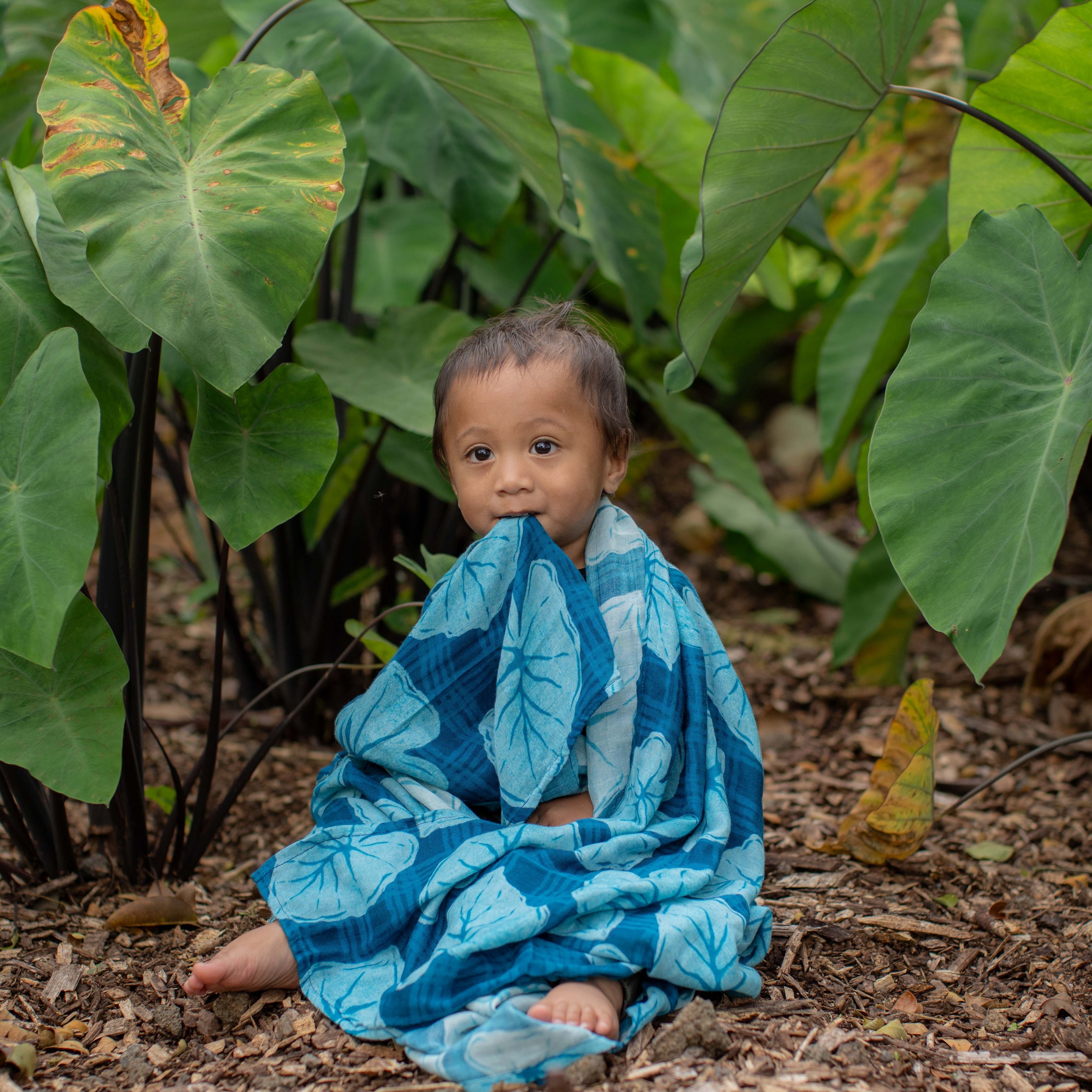 Blue Palaka Kalo Kapa Moe - Hawaiian Bamboo Swaddle