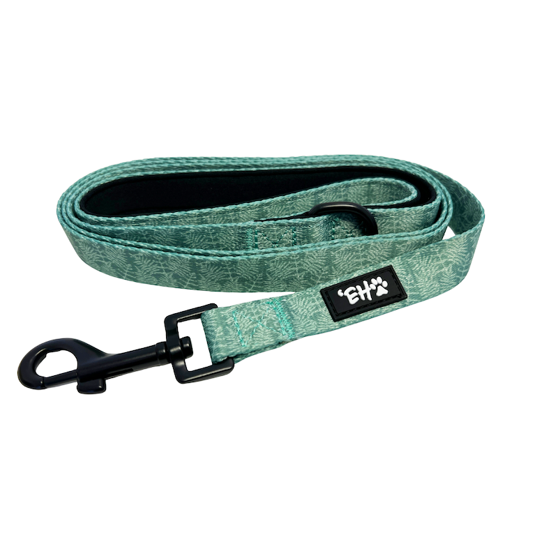 Eha Pets: Green Neke Fern Dog Leash