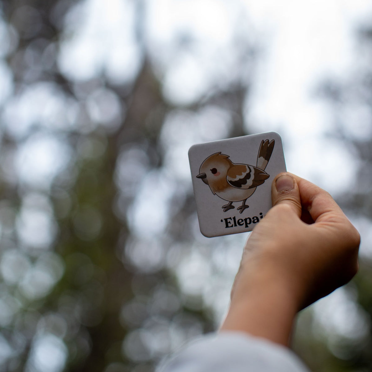 The Memory Game: Mauna Kea