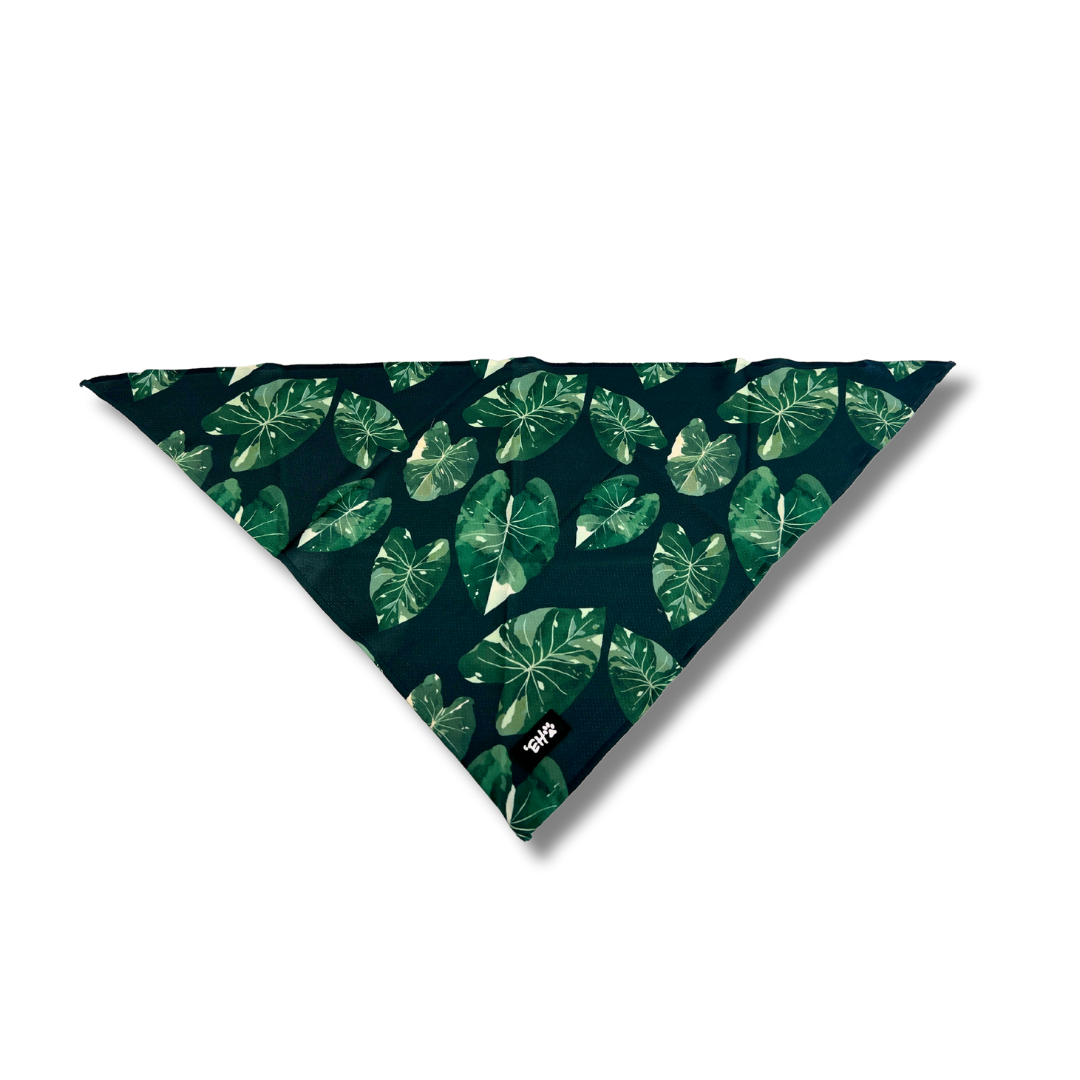 Eha Pets: Elepaio Ha Kea Dog Bandana