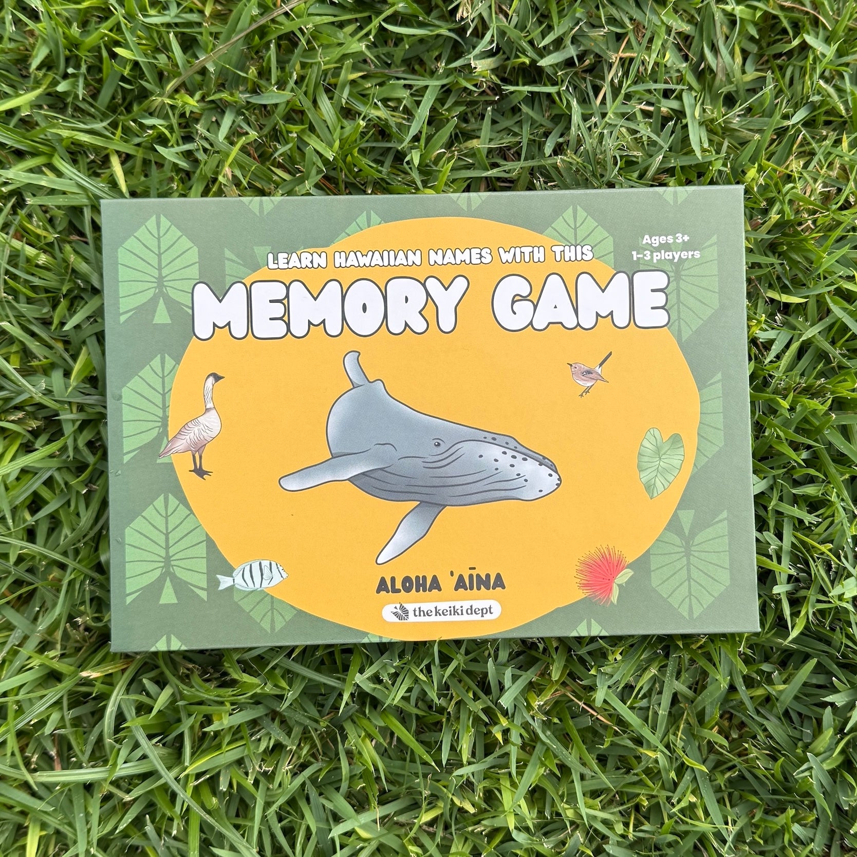 The Memory Game: Aloha ʻĀina