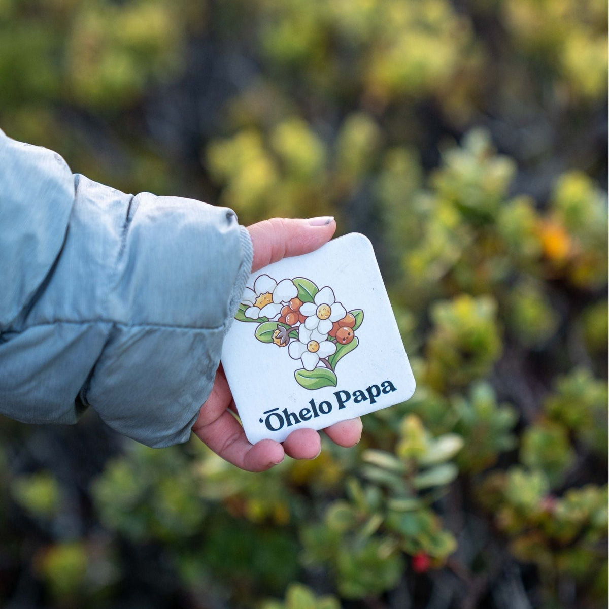Hand holding a square card with floral design and 'Ohelo Papa' text against a blurred green background