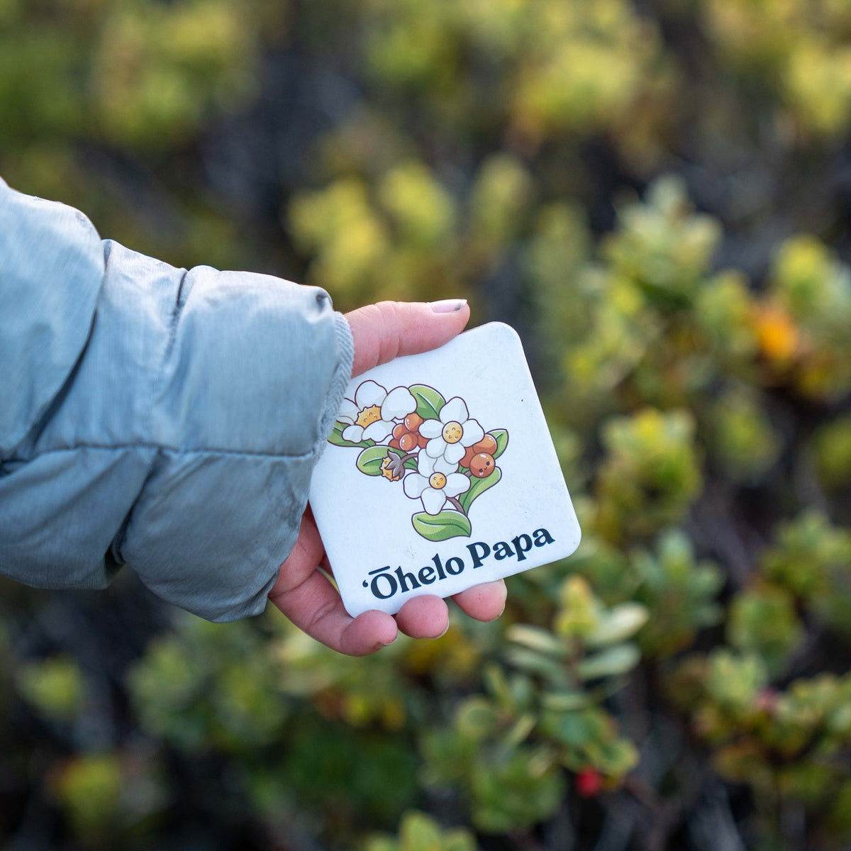 The Memory Game: Mauna Kea