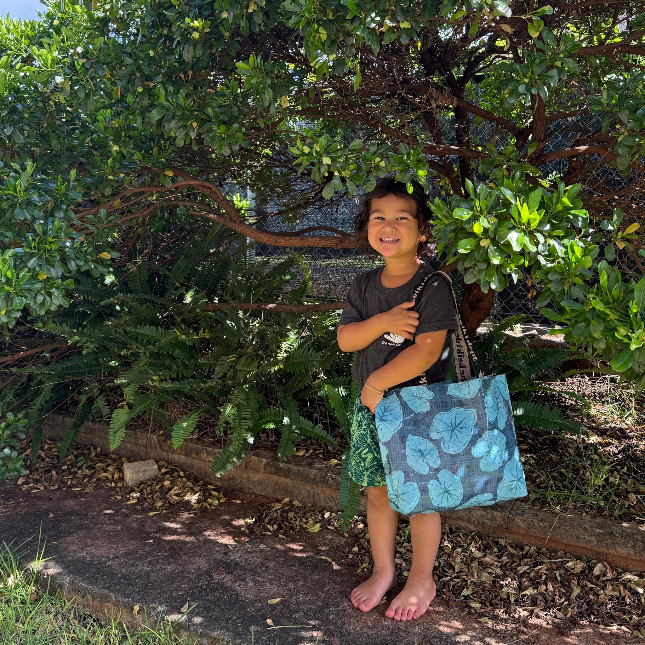 Blue Palaka Kalo ʻEke Mākeke