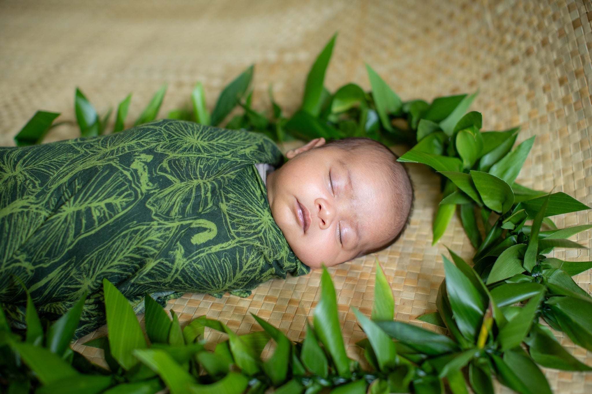 Featured Plant of the Week: Kalo