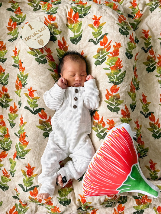 Choosing the Perfect Outfit for Your Baby's Monthly Photos
