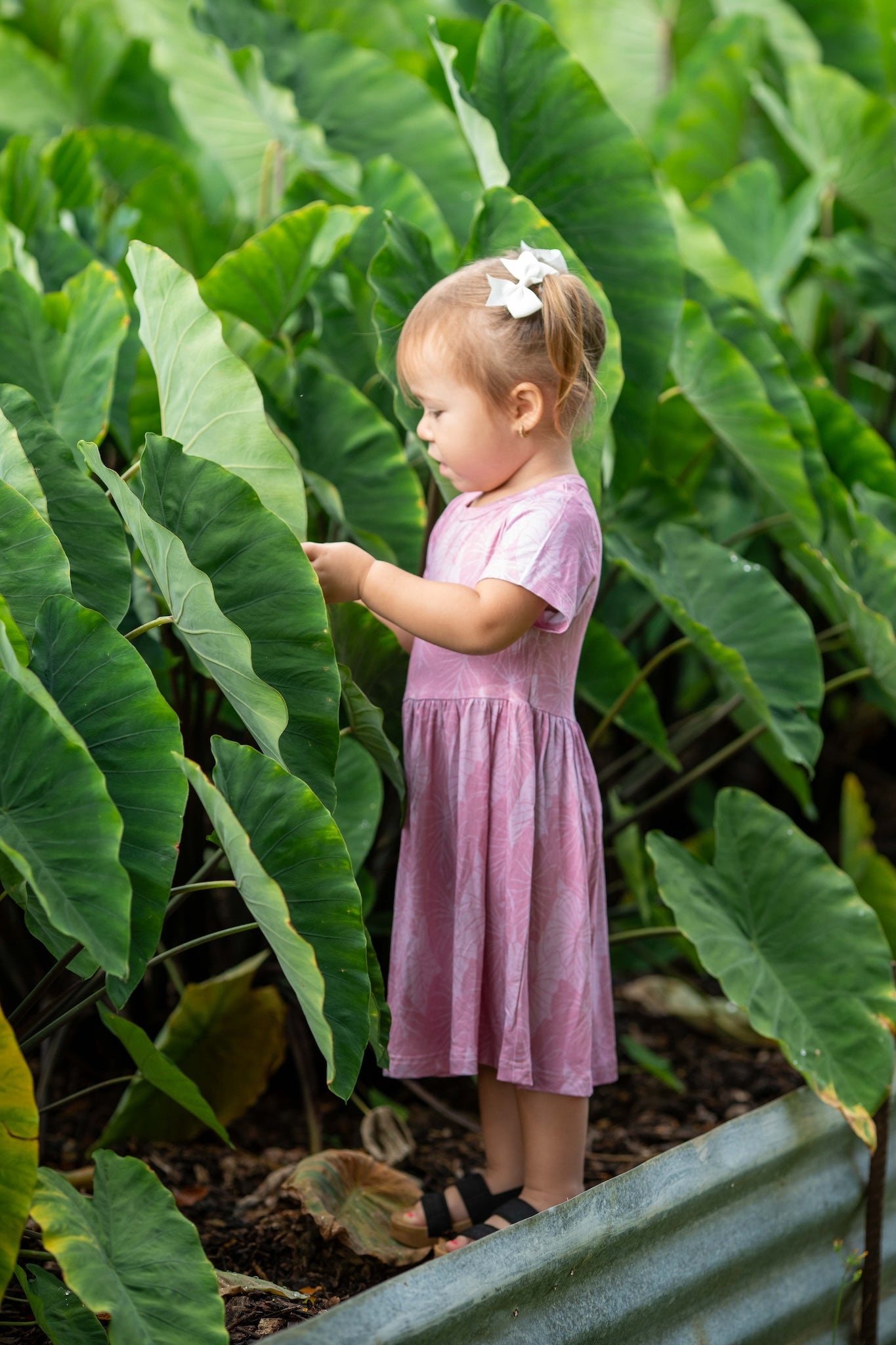 Pink Loʻi Kalo Bamboo Kaliko Dress
