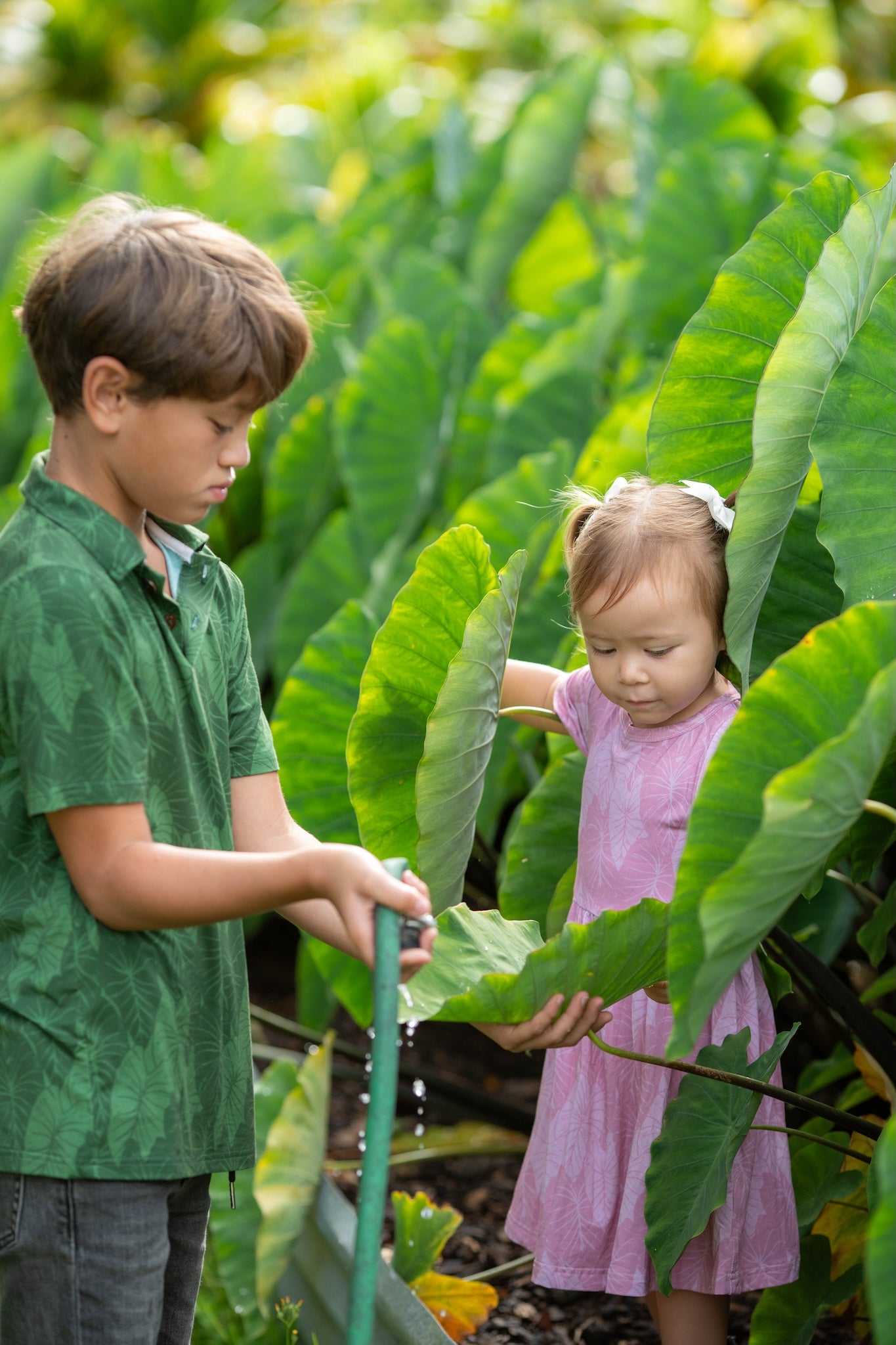 Green Loʻi Kalo Bamboo Kalei Athletic Polo