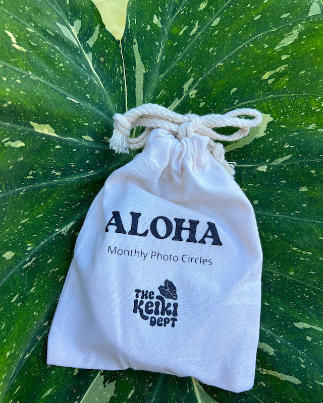 bag of aloha monthly photo circles