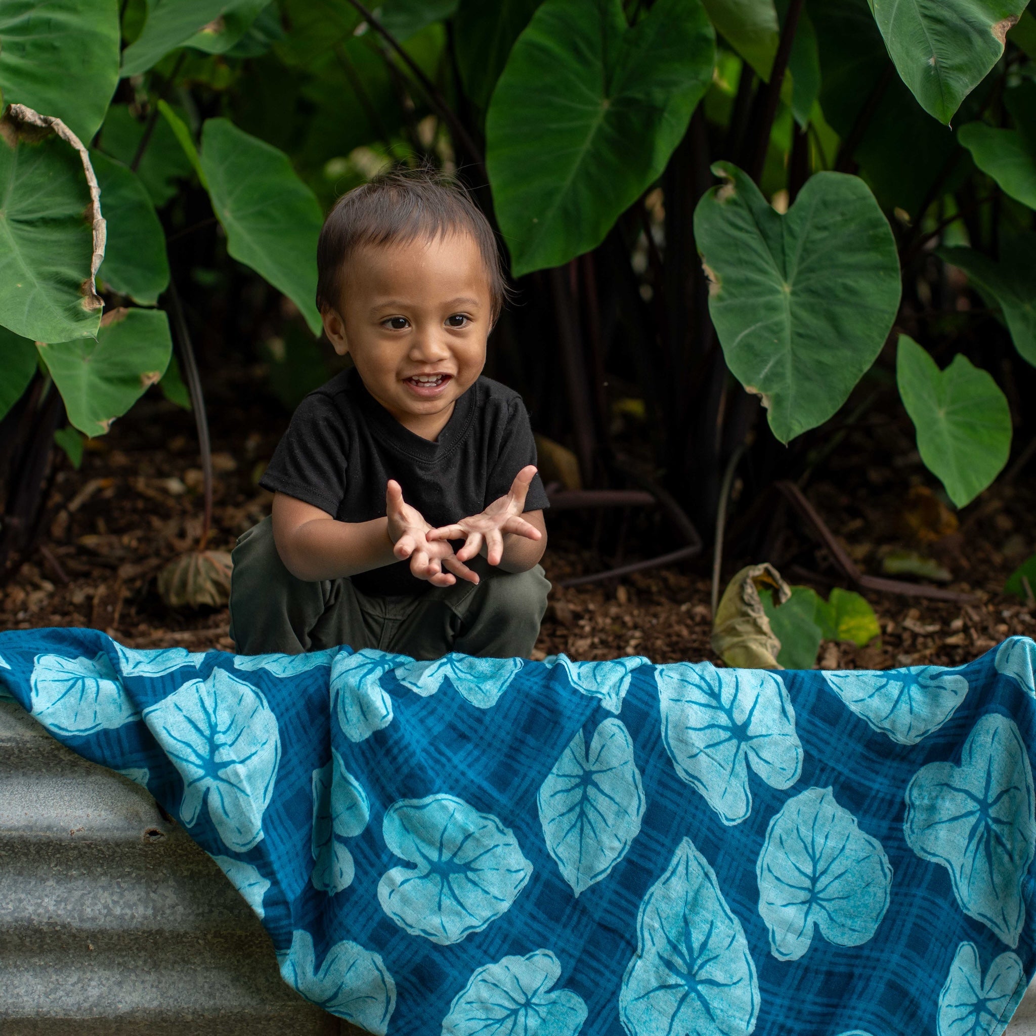 Hawaiian Bamboo Swaddle — Blue Palaka Kalo | The Keiki Dept