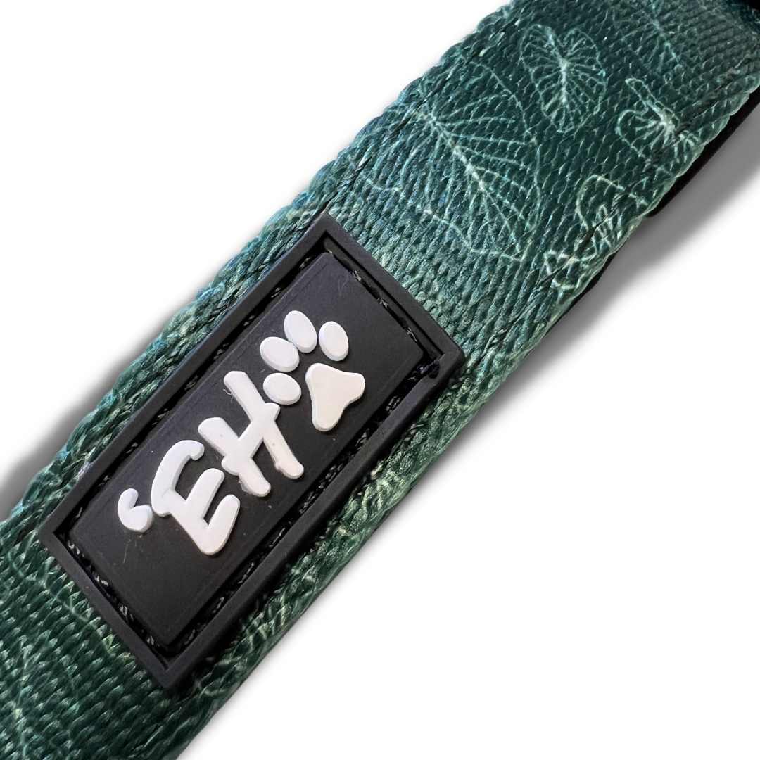 eha pets close up green kalo collar