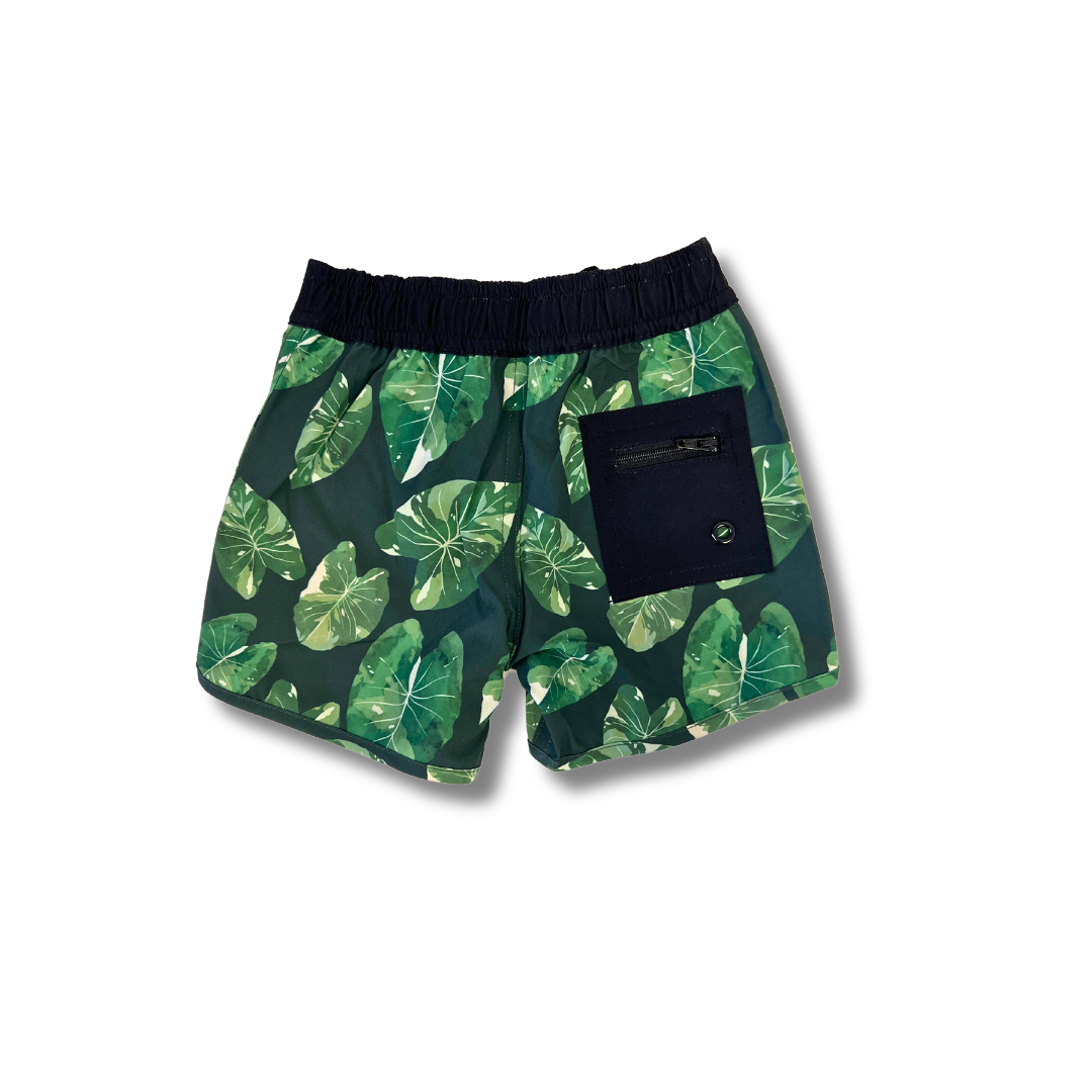 elepaio hakea eco-friendly boardshort back