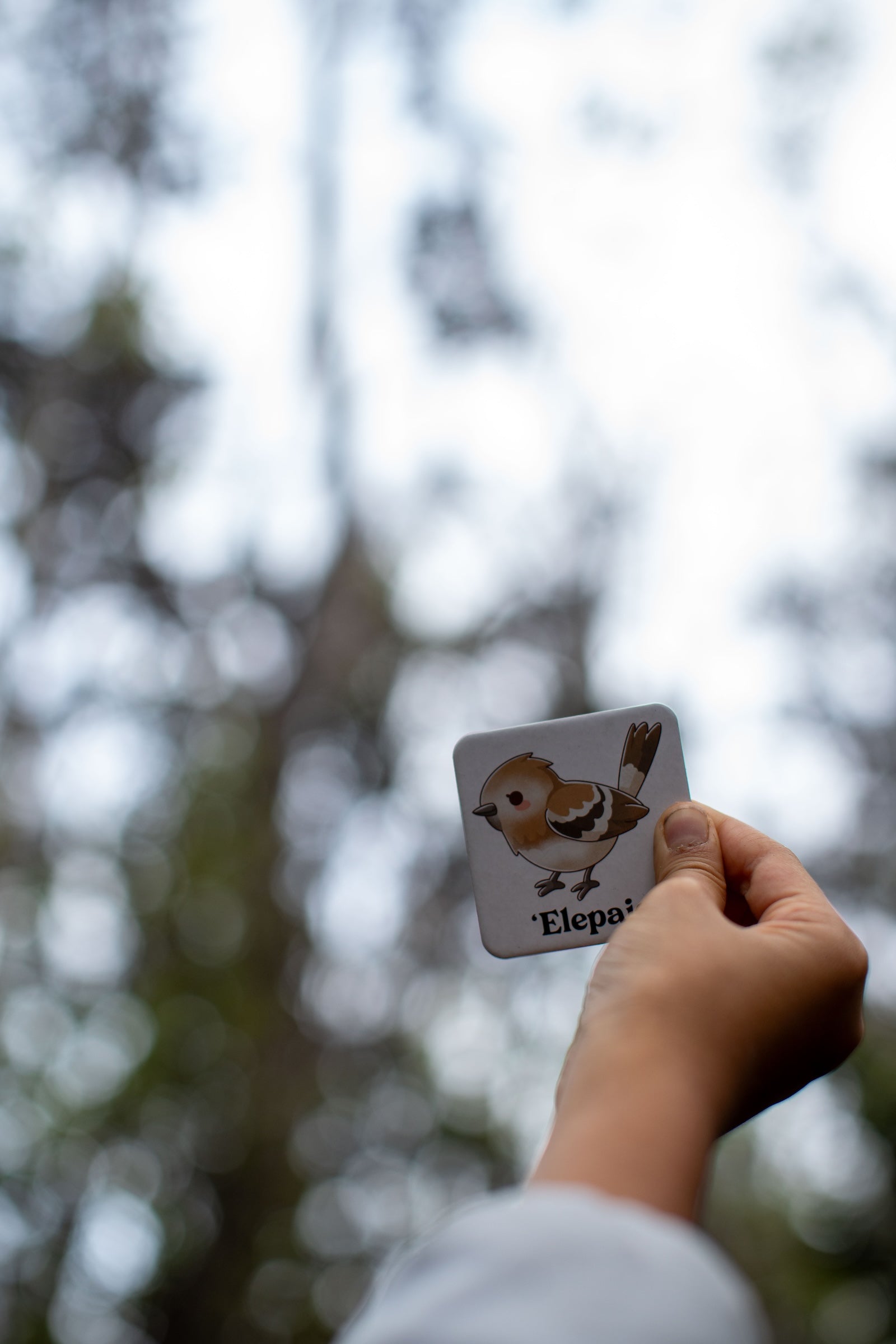 The Memory Game: Mauna Kea