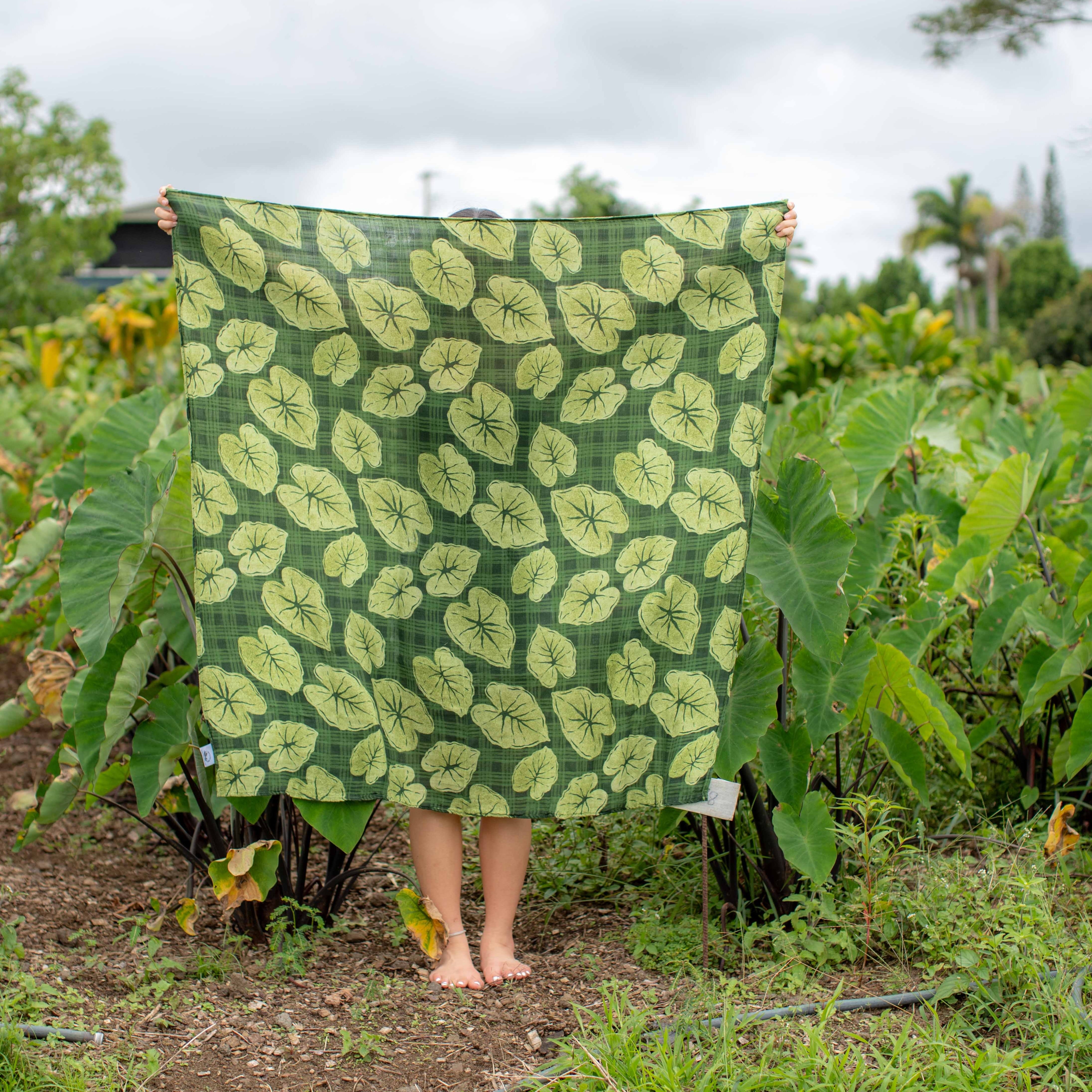 Hawaiian Bamboo Swaddle — Green Palaka Kalo | The Keiki Dept