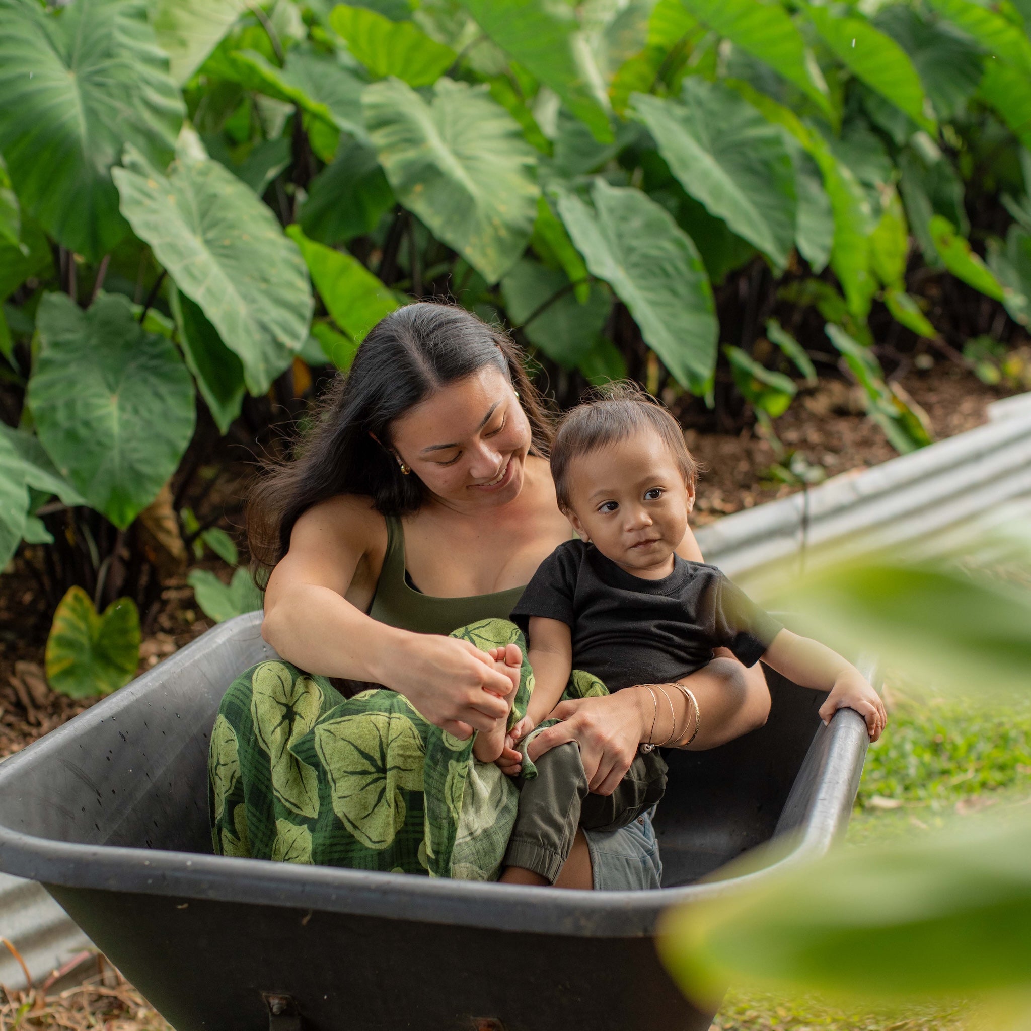 Hawaiian Bamboo Swaddle — Green Palaka Kalo | The Keiki Dept