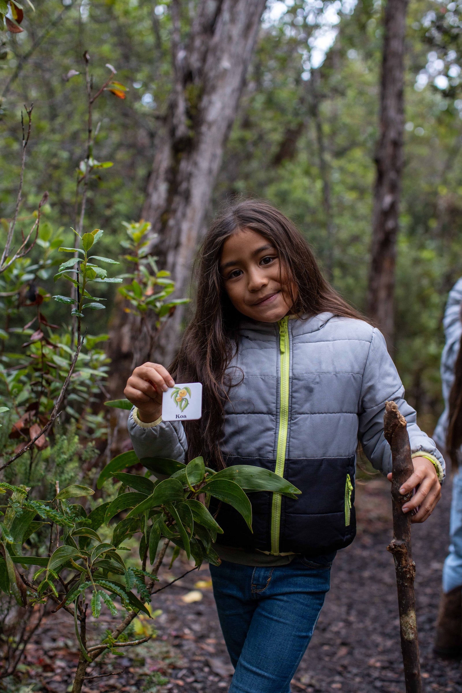 The Memory Game: Mauna Kea