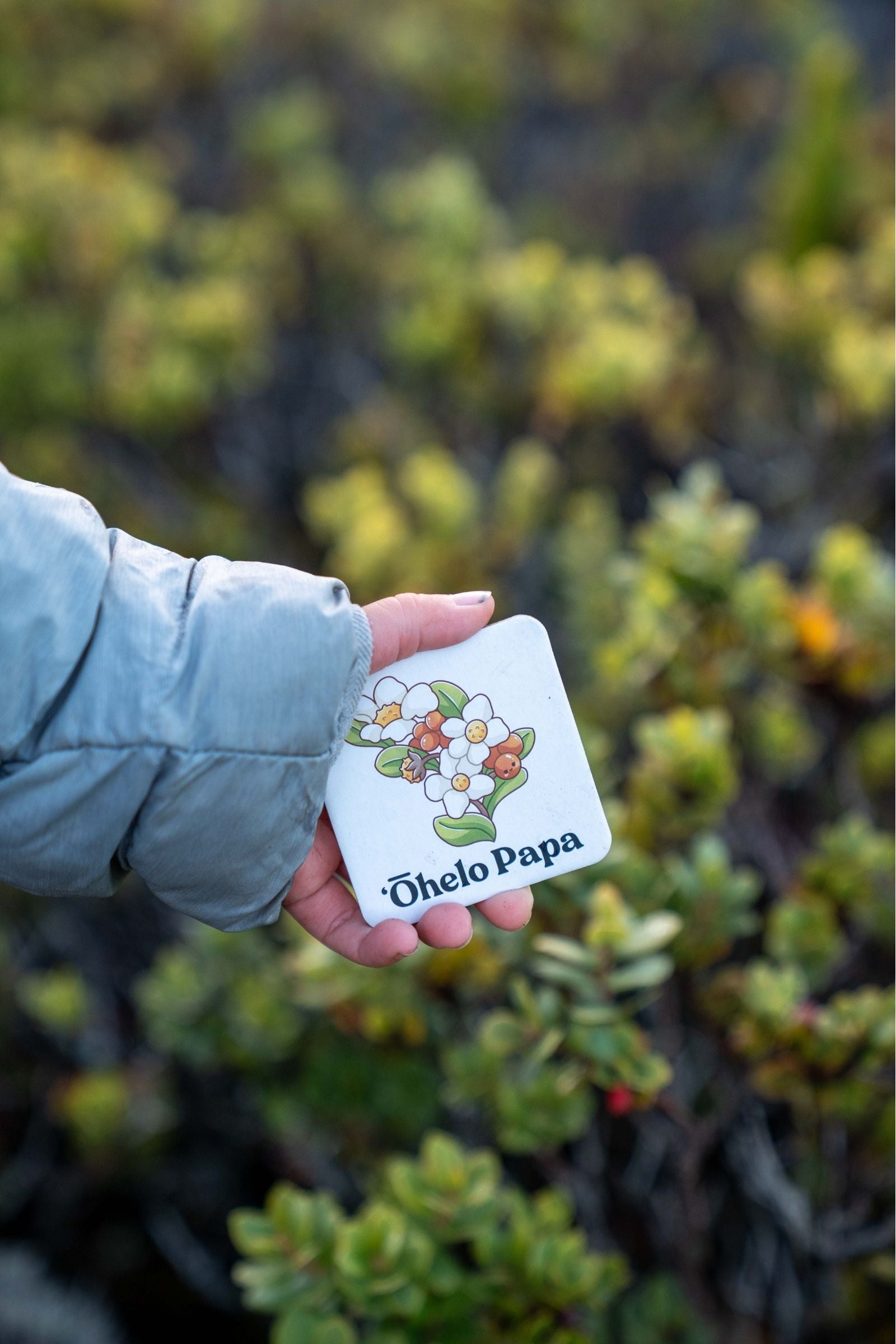 The Memory Game: Mauna Kea