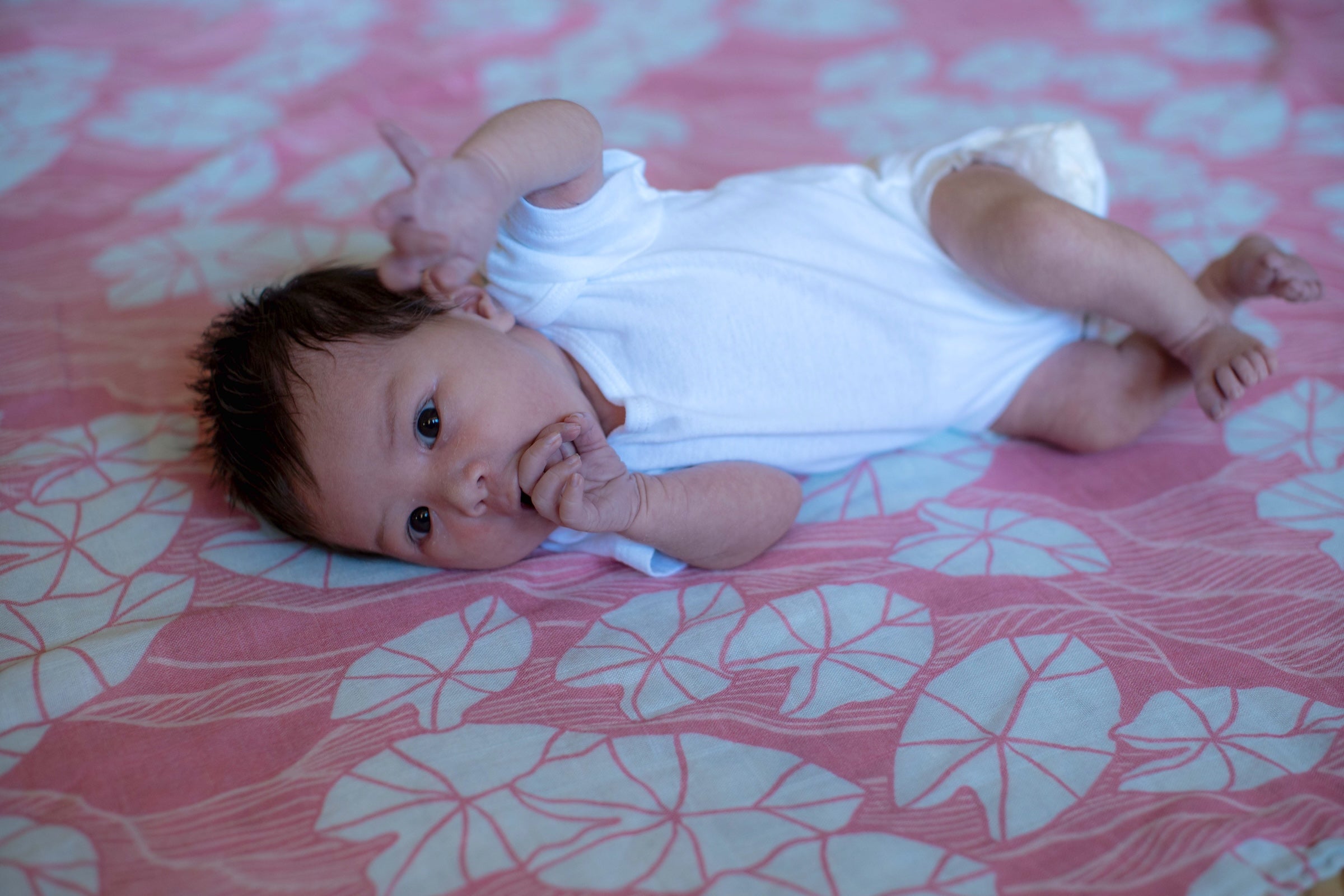 Pink Mauka Kalo Bamboo Muslin Kapa Moe (Swaddle Blanket)