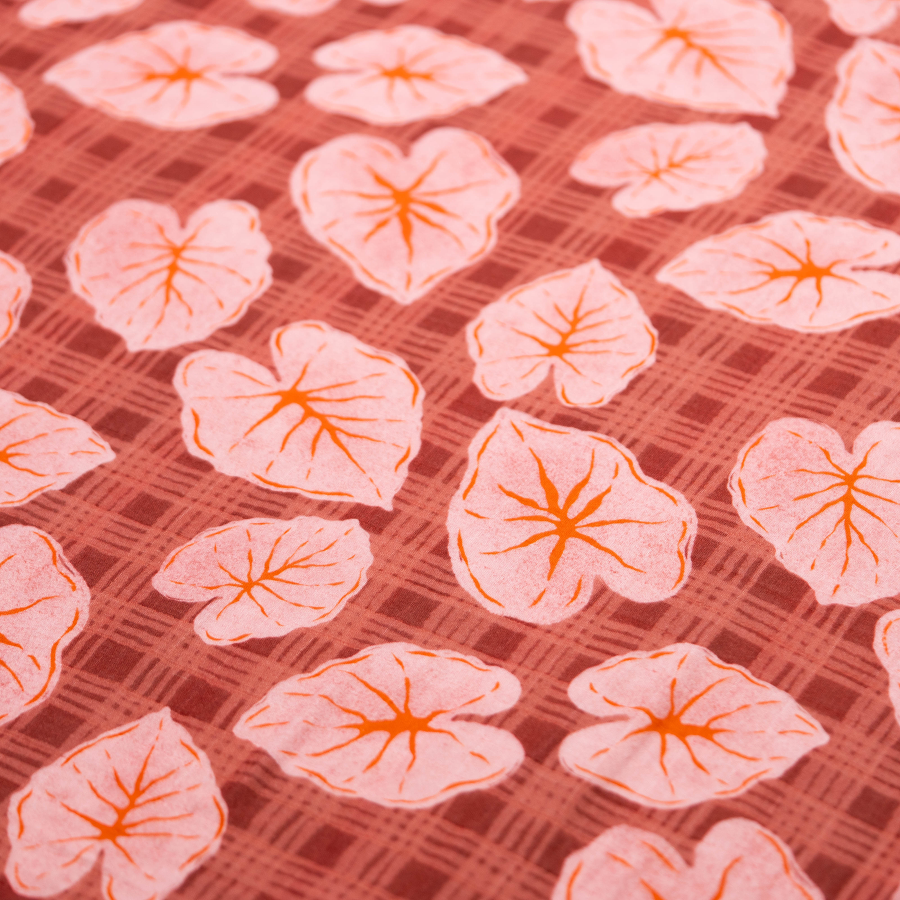 The Keiki Dept - Dog Park in Aiea